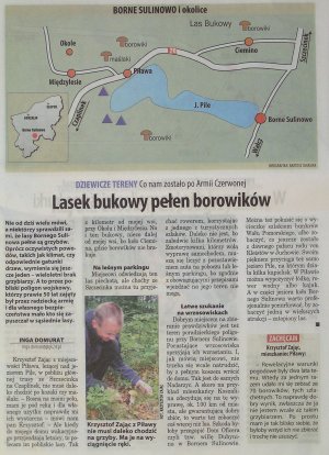 Przewodnik grzybiarza 2008r.